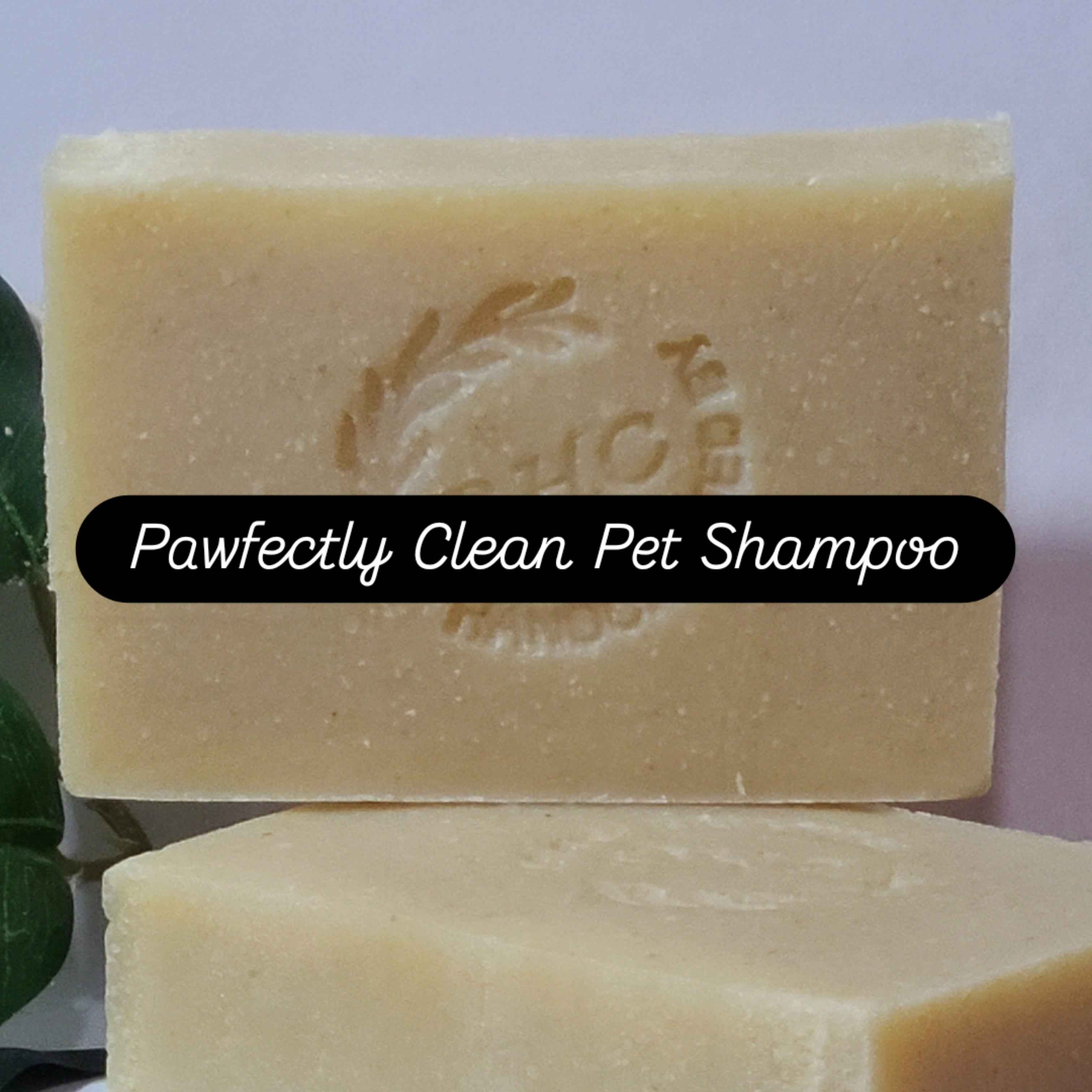 Pawfectly Clean Pet Shampoo Bar